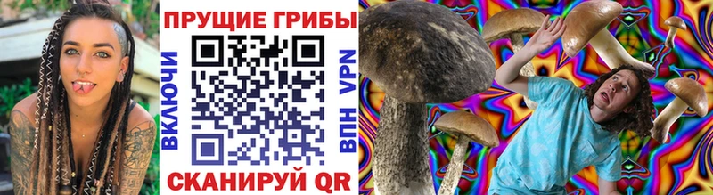 Галлюциногенные грибы Cubensis  Купить  Карталы 